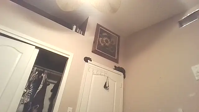 PompasPurpleriver online show from 22, 4, 2026