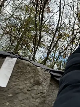 Lombada online show from 9, 11, 2025