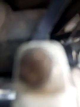 sadunt online show from 23, 1, 2025