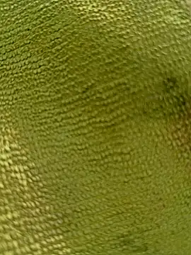 sadunt online show from 17, 12, 2025