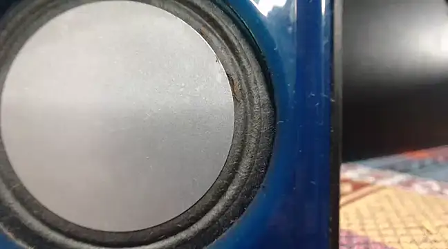 Snapshot of mom_son_dirty chatting on 21, 3, 2025 mom son dirty online show from 21, 3, 2025