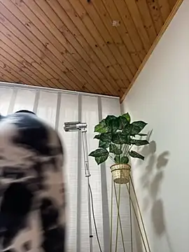 Milff parkerrr online show from 7, 3, 2025