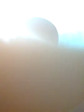 Jair BM online show from 17, 3, 2025