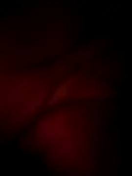 wildfox566 online show from 16, 3, 2026