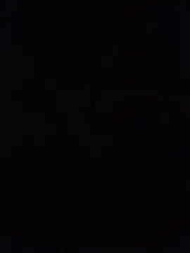 cjonybab online show from 11, 10, 2025