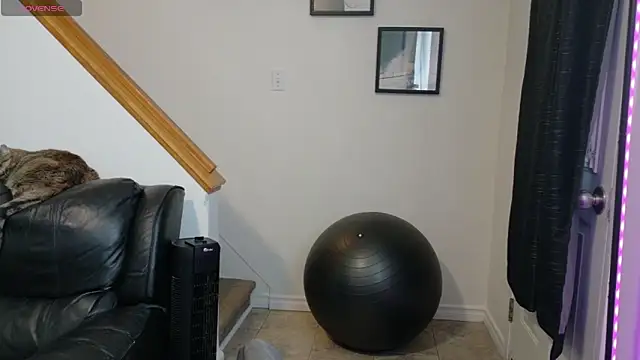 Thekodyy online show from 12, 11, 2025