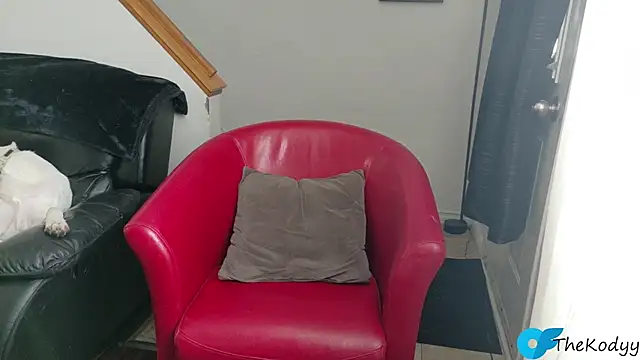 Thekodyy online show from 10, 10, 2025