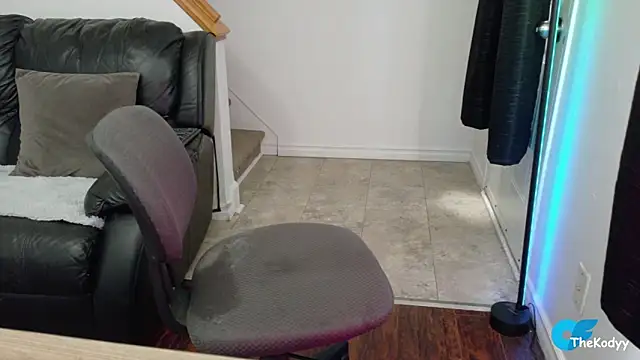 Snapshot of Thekodyy chatting on 18, 4, 2026 Thekodyy online show from 18, 4, 2026