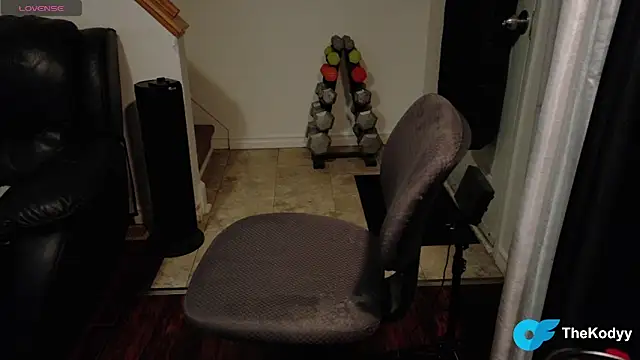 Thekodyy online show from 17, 1, 2026