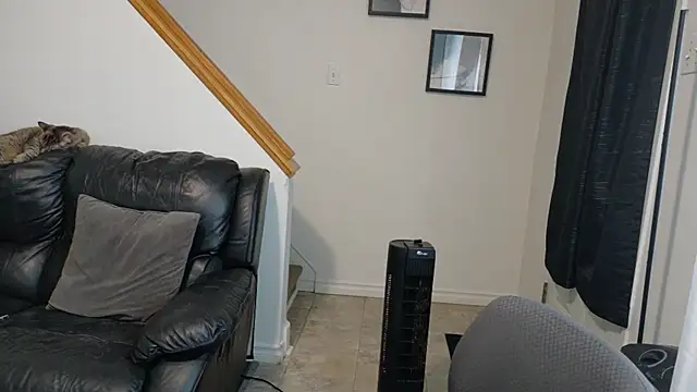 Thekodyy online show from 14, 11, 2025