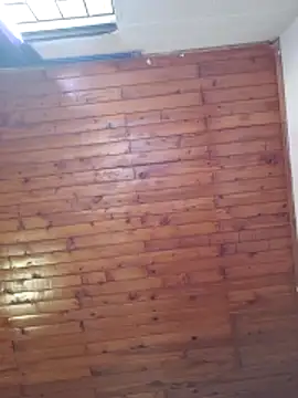      sams online show from 18, 11, 2025