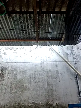      sams online show from 11, 3, 2026