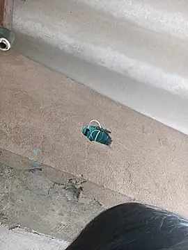 Little Pau Dirty online show from 27, 10, 2025