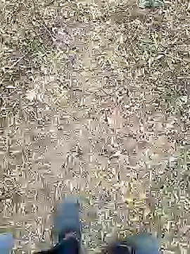 Mrveda66 online show from 10, 2, 2026