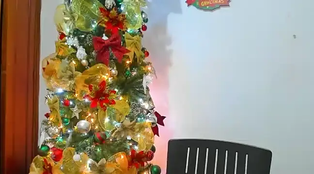 mia-harly online show from 23, 12, 2024