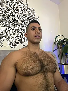 Snapshot of aaroncolombia chatting on 4, 11, 2025 aaroncolombia online show from 4, 11, 2025