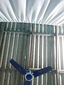 hotbaby 5 online show from 5, 11, 2025