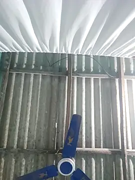 hotbaby 5 online show from 18, 11, 2025