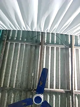 hotbaby 5 online show from 22, 11, 2025