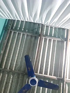 hotbaby 5 online show from 23, 11, 2025