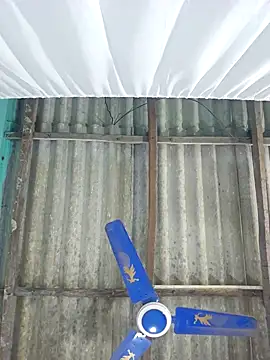 hotbaby 5 online show from 14, 9, 2025