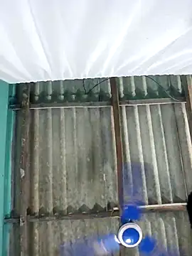 hotbaby 5 online show from 1, 11, 2025