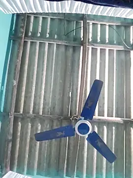 hotbaby 5 online show from 7, 11, 2025