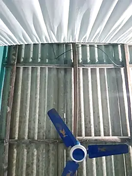 hotbaby 5 online show from 26, 11, 2025