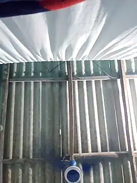 hotbaby 5 online show from 6, 11, 2025