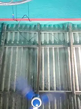 hotbaby 5 online show from 12, 9, 2025