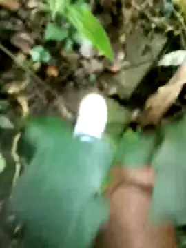 dpkpaksudda online show from 23, 9, 2025