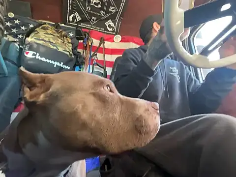 XMeF10 online show from 23, 11, 2025