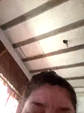 CAT28004 online show from 15, 11, 2025