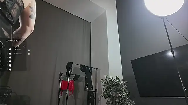 vinylstore online show from 16, 3, 2025