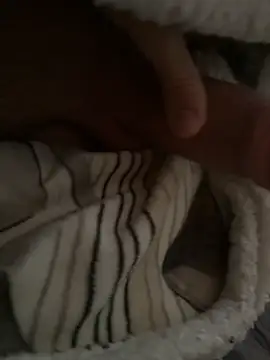 maiolullo online show from 14, 11, 2025