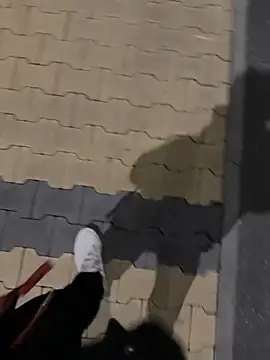 maiolullo online show from 24, 11, 2025