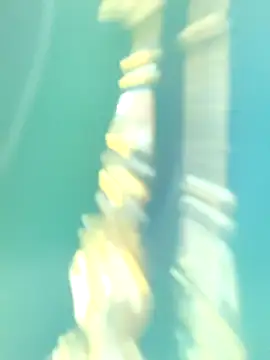 Snapshot of Ananya_34 chatting on 1, 10, 2025 Ananya 34 online show from 1, 10, 2025