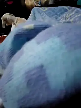 Camilo-31RI online show from 3, 4, 2026