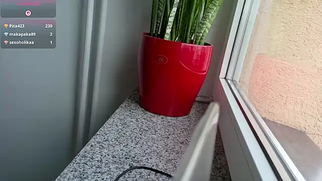 kotekxx000 online show from 14, 11, 2025