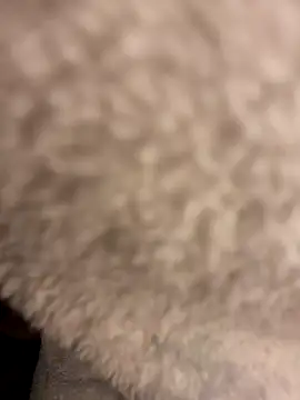 DaneLoveSexy online show from 21, 3, 2025