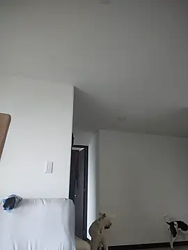 911Calling online show from 4, 2, 2025