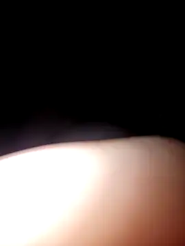 Georg06 online show from 7, 3, 2026