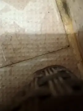 pintuS40 online show from 9, 10, 2025