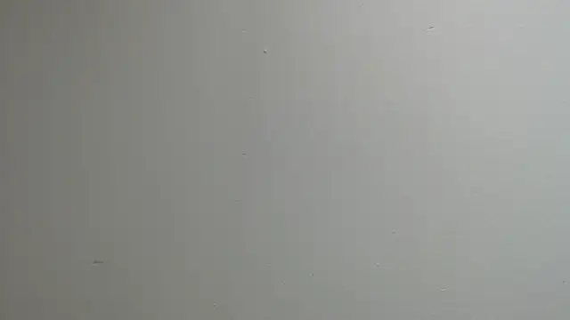 sussy leon online show from 13, 3, 2025