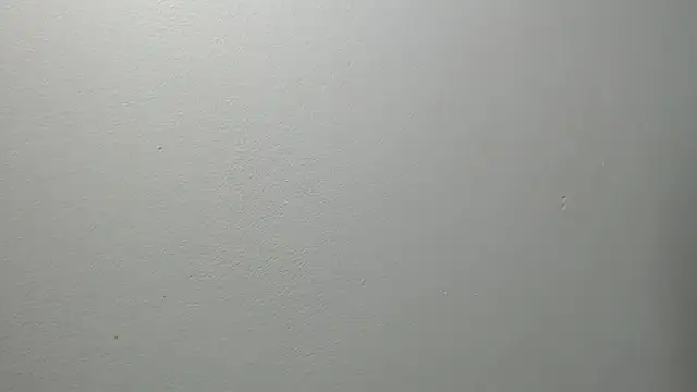 sussy leon online show from 27, 2, 2025