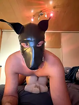 Snapshot of PlayDog123 chatting on 27, 11, 2025 PlayDog123 online show from 27, 11, 2025