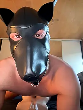 Snapshot of PlayDog123 chatting on 4, 11, 2025 PlayDog123 online show from 4, 11, 2025