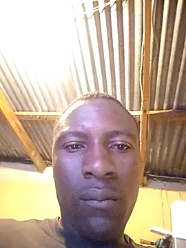 palaza11 online show from 3, 12, 2025