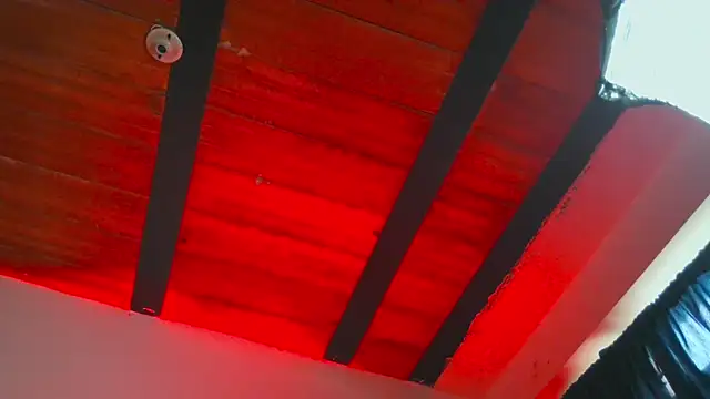 Leonnardo Jaramillo online show from 25, 2, 2025