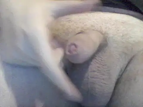 Lovelabite2 online show from 17, 2, 2025